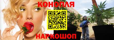 гашик Бузулук