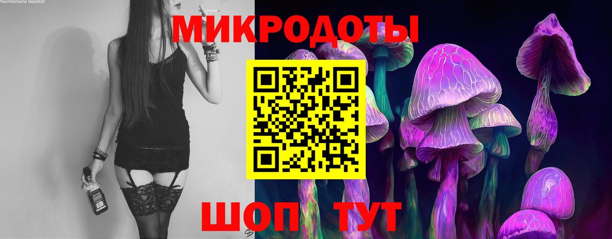 Павлово  Псилоцибиновые грибы Cubensis  Вход с VPN  Псилоцибиновые грибы мухоморы 